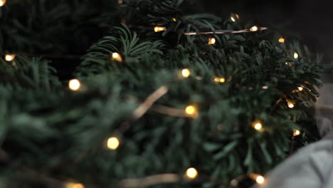 Christmas-decor-leaves-with-fairy-lights-wrapped,-macro-depth-of-field-shot