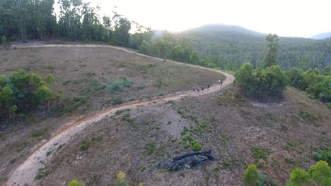 flying over walking track through forest