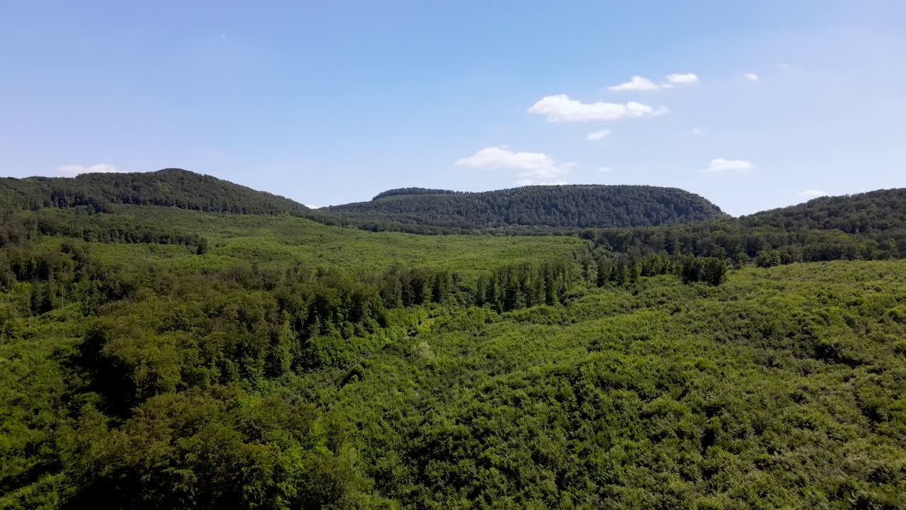 que establece una vista aérea de un gran bosque, ubicación remota cerca de pilis, hungría