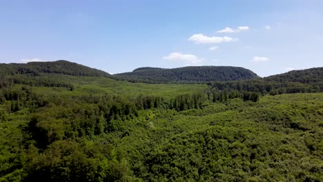 Establishing-aerial-view-of-large-forest,-remote-location-near-Pilis,-Hungary