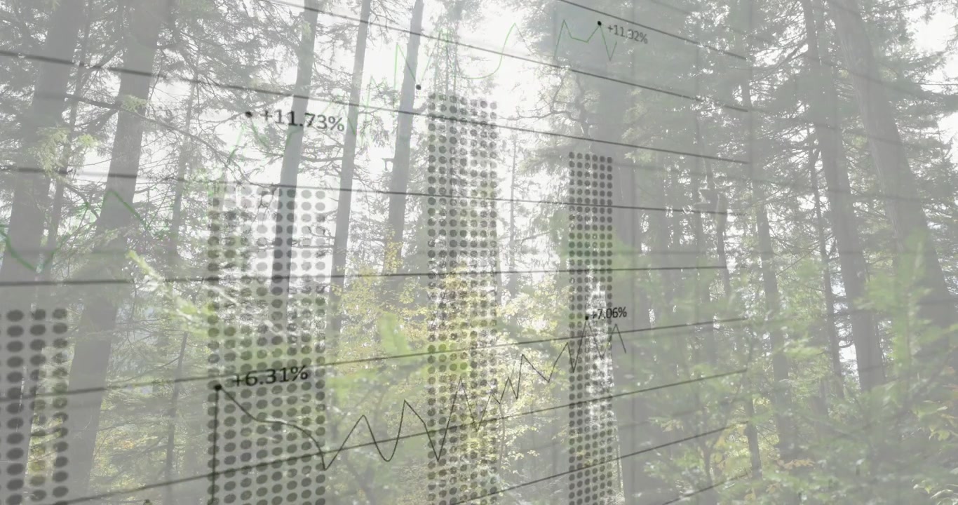 Conifer stand filling frame while data driving faint graph, dotted bars showing environment trends