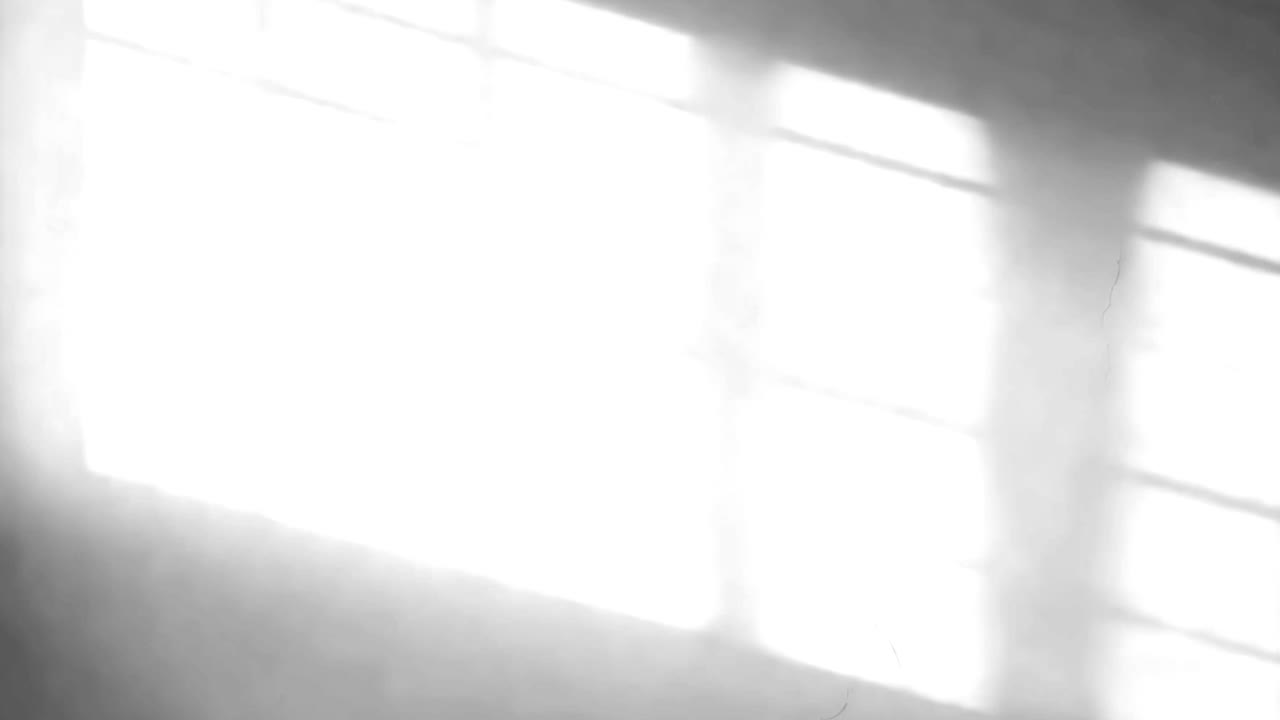 Geometric window shadow animated overlay, transparent 4K video, alpha channel, ProRes 4444