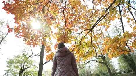 girl looking up at the beautiful fall leaves