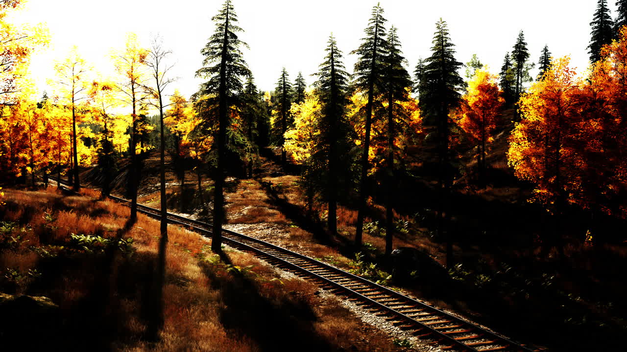 숲 속의 가을 철도