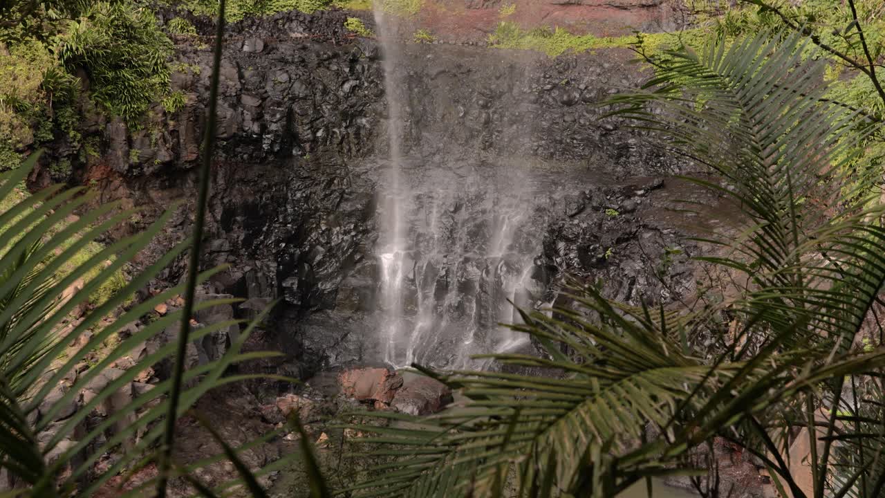 Hand Held Footage Of The Base Of Purlingbrook Falls, Springbrook ...