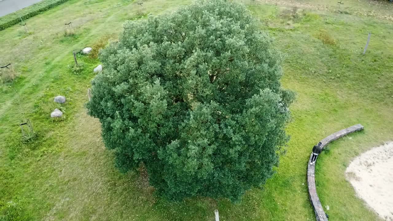 들판-1에서 나무 주위를 걷는 사람