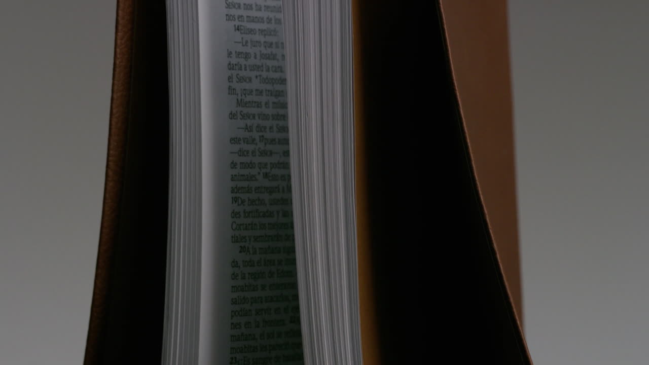 Spanish Bible Santa Biblia español Christian Biblia cristiano reina valera