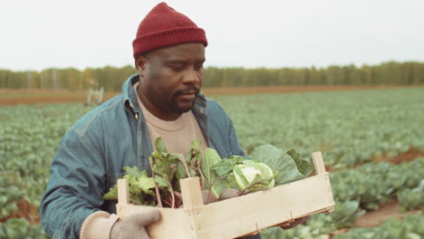 Hombre-Afroamericano-Que-Lleva-Una-Caja-De-Verduras-A-Través-Del-Campo-Agrícola