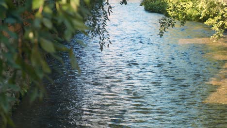 Slide-shot-of-the-leaves-and-river-during-sunset-in-Kyoto,-Japan-4K-slow-motion