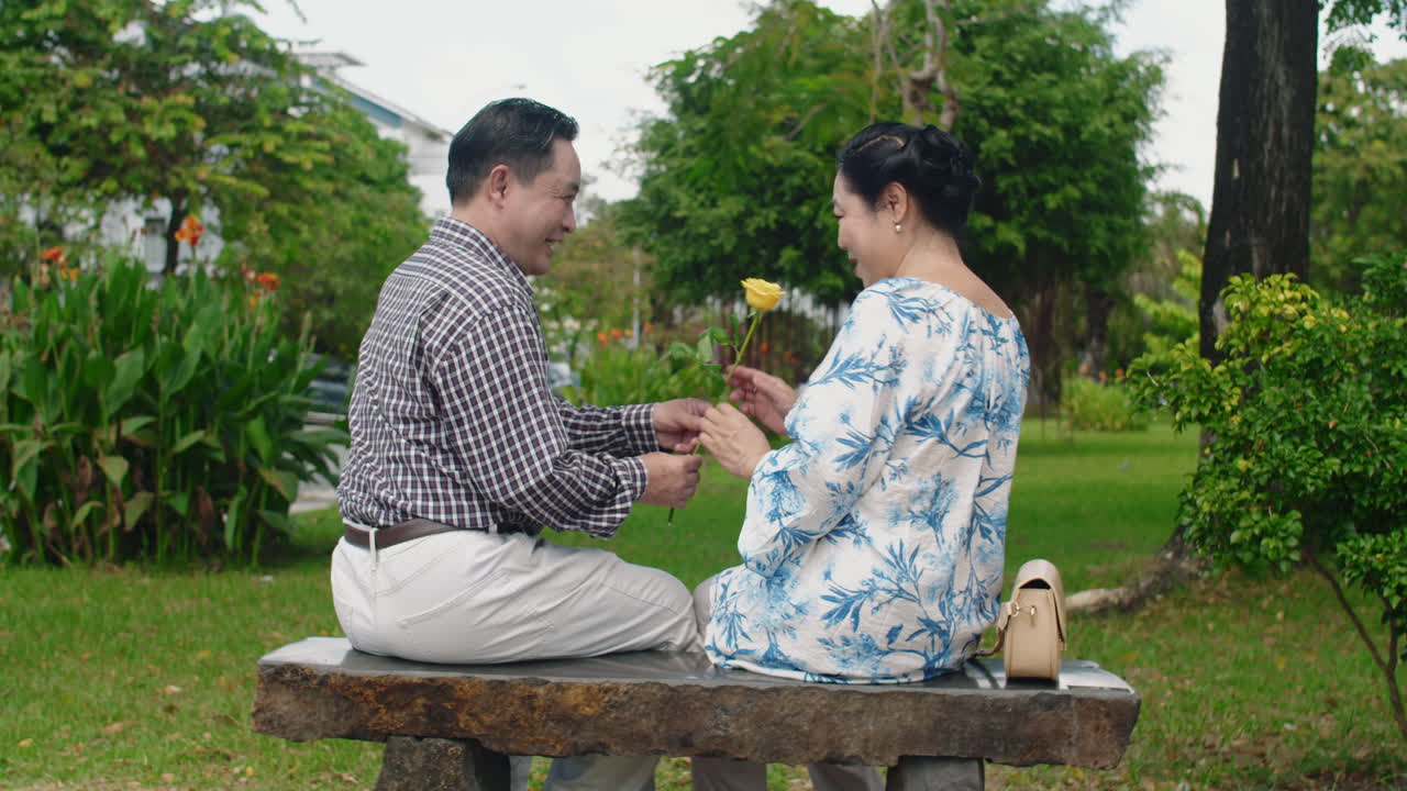 Husband Sitting on Bench with Hidden behind Back Rose and Giving to Wife in Park