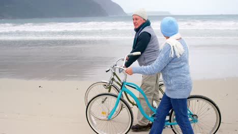 Feliz-Pareja-De-Ancianos-Caminando-Con-Su-Bicicleta