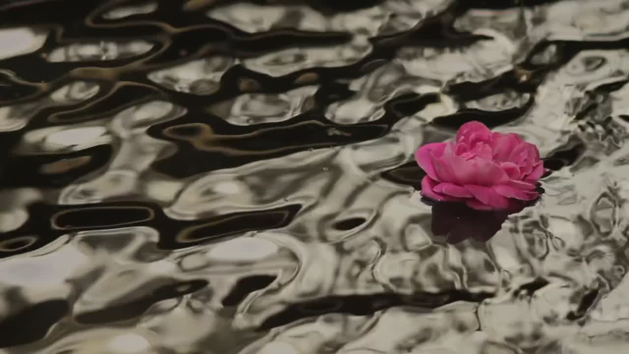 Flowers in fountain on wine farm