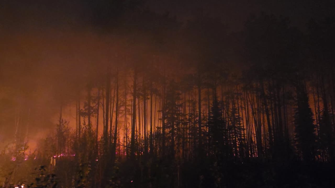 Vista panoramica di un incendio boschivo canadese che avvolge il terreno e il legname stagionato