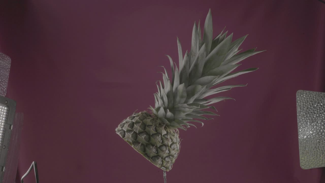 크로마 키를 위한 푸키아 스크린에 루프로 회전하는 파인애플