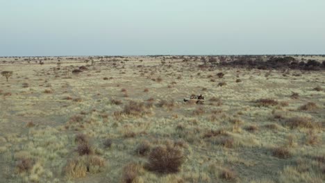 Fahrzeug,-Das-Auf-Savannengrasland-Von-Namibia,-Afrika-Fährt---Luftaufnahme