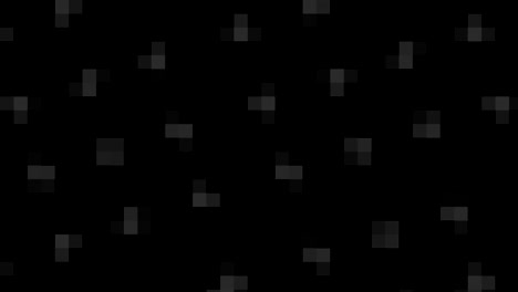 black and white pattern on a minimal background.