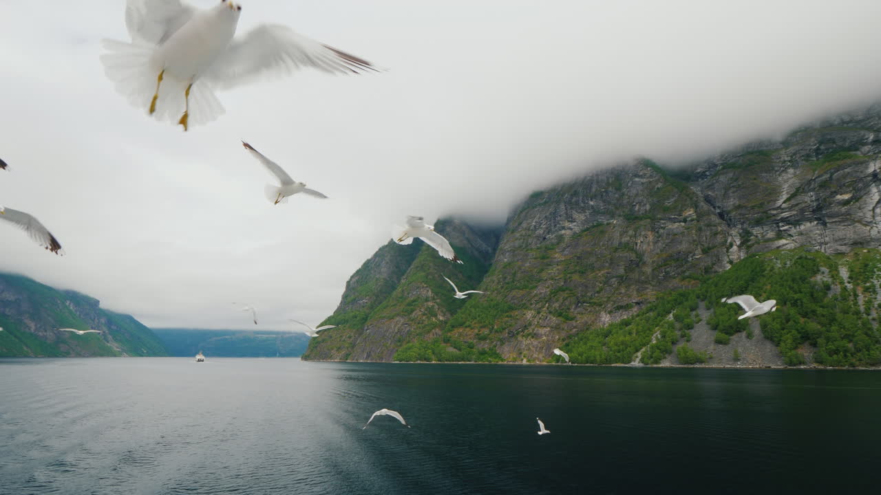 배에서 노르웨이의 그림 같은 피요르드를 따라 크루즈