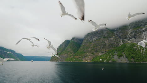 Kreuzfahrt-Entlang-Des-Malerischen-Fjords-In-Norwegen-Blick-Vom-Schiff-Aus