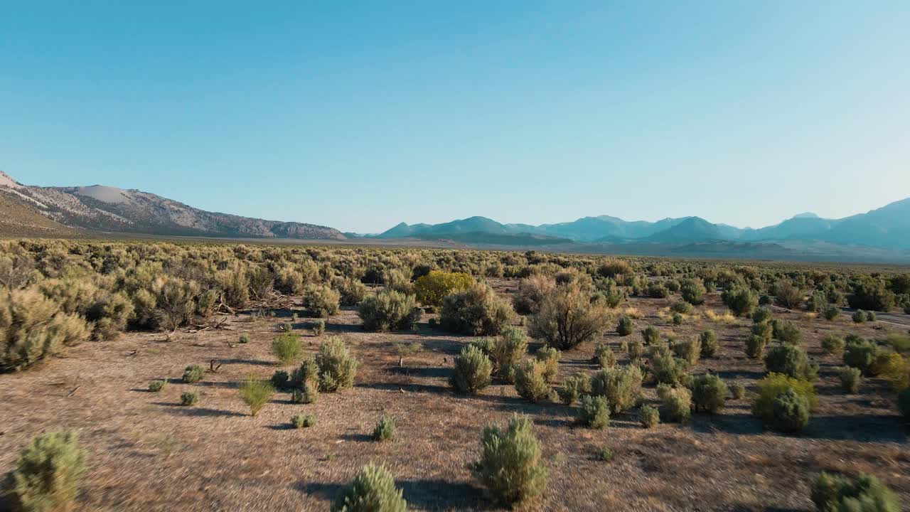 An expansive landscape with shrubs, bushes and mountains in the backdrop