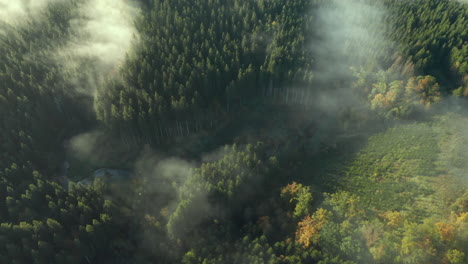 flying towards river surrounded with green lush forest on a hazy morning near sommerain, houffalize, belgium