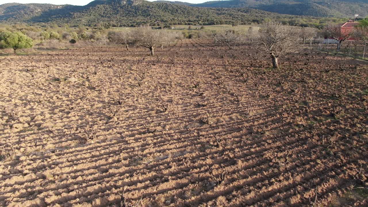 vuelo inverso con un dron sobre un viñedo arado en invierno visualizando árboles frutales sin hojas con un fondo de montañas y terminando en la entrada de la granja con una pared de piedra