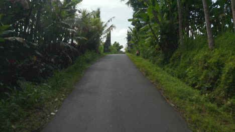 Following-rural-asphalt-street-along-rice-fields-in-Bali,-Indonesia.-Aerial-street-view-of-rural-road-through-tropical-landscape-in-Asia