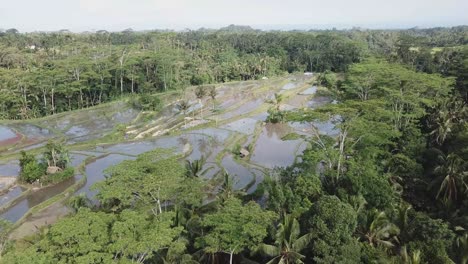 Fly-over-rice-terraces