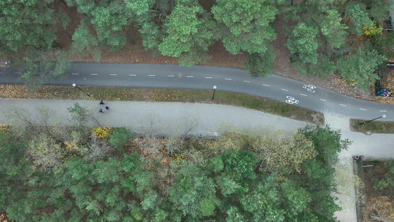Overhead drone view of winding bike lane through dense green forest with autumn tones near the coastline
