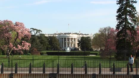 The-Camera-Zooms-In-For-A-Look-At-The-White-House-In-Springtime