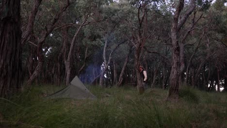 un bosquimano lleva leña a su campamento en el bosque australiano mientras acampa