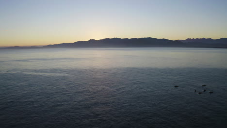 Kayaking-in-the-ocean-at-Kiakoura-New-Zealand-during-a-beautiful-sunset-with-friends-having-a-relaxing-adventure