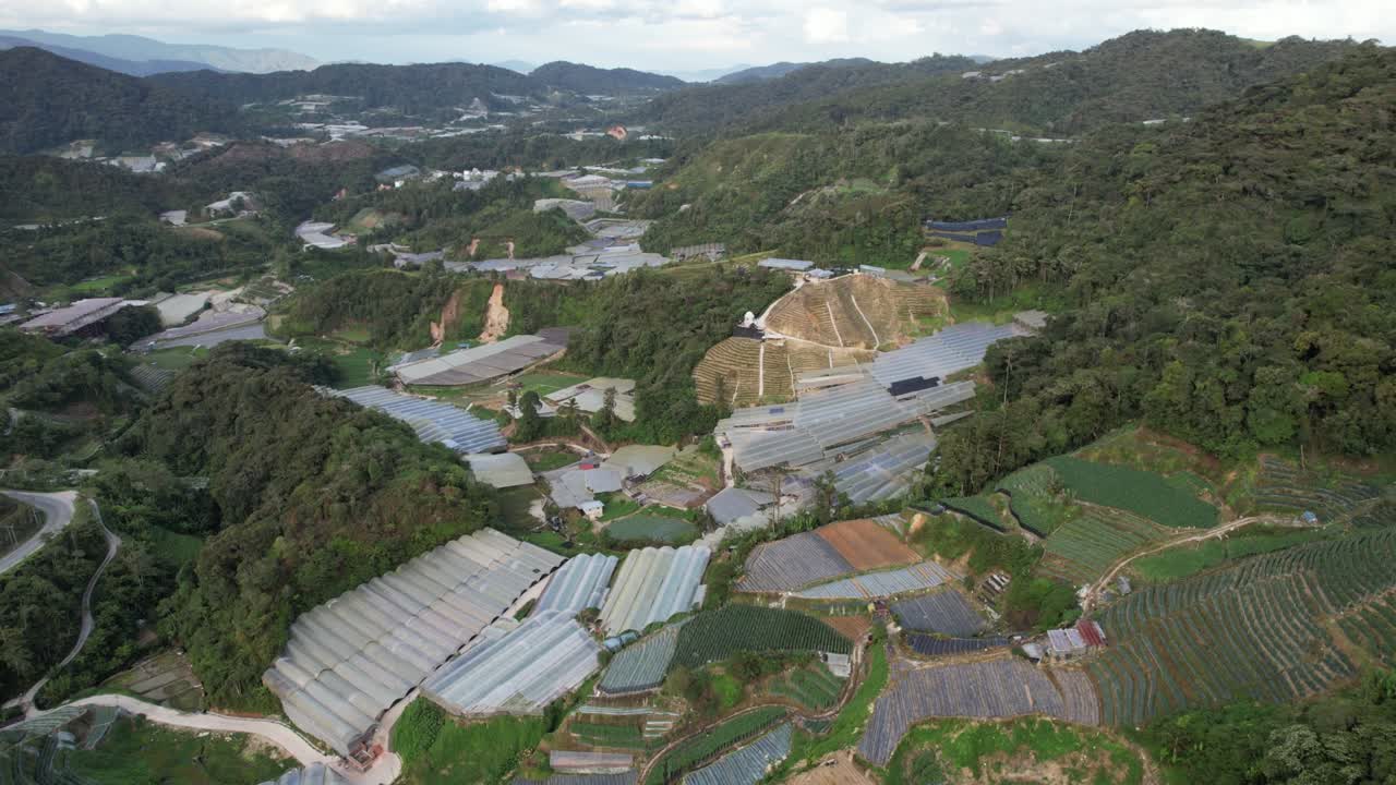 말레이시아의 카메론 하이랜드 지역 내의 브린창 지역의 일반 풍경