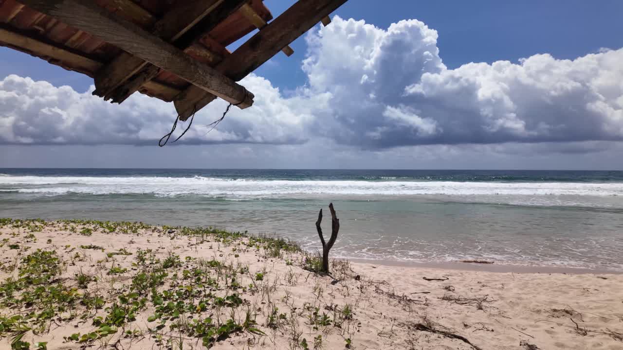 Abandoned virgin beach Sri Lanka Indian ocean shore vegetation growing on sand