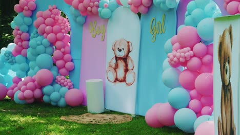 side view of boy or girl gender reveal party outside, beautiful backdrop with colored pink and blue ballons and teddy bears for guests to take pictures