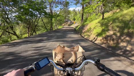 pov of biker biking on mountain trail with bag basket in front