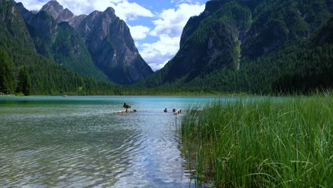 Lake-Dobbiaco-in-the-Dolomites,-Italy