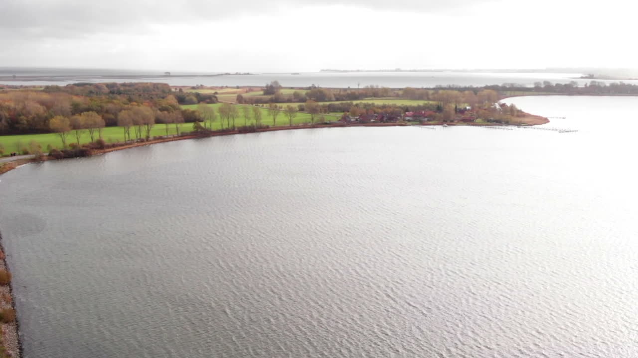 coches circulando por la carretera entre el mar schlei y la línea de árboles en otoño, incline la antena