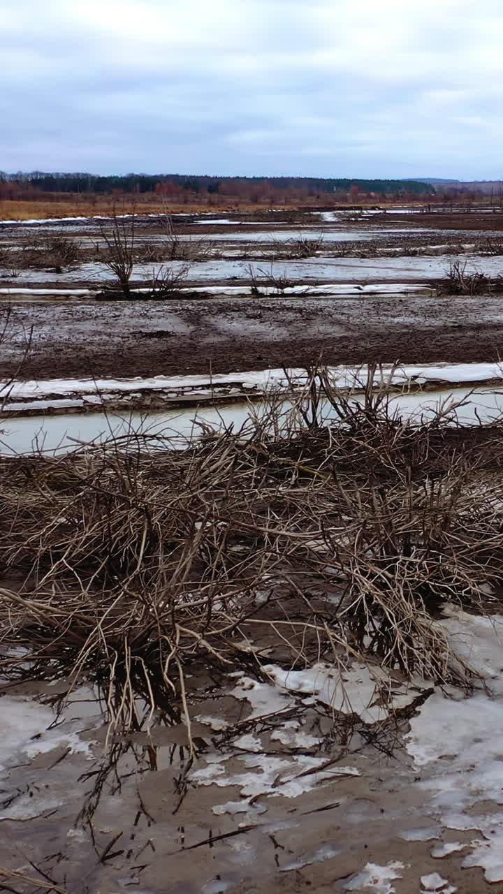 Natural resources in danger. Dirty background of polluted river in drought place. Environmental problems. Groundwater disaster. Vertical video