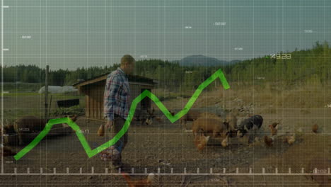 male farmer walking carrying basket on farm with hens featuring farm tech overlay with line graph