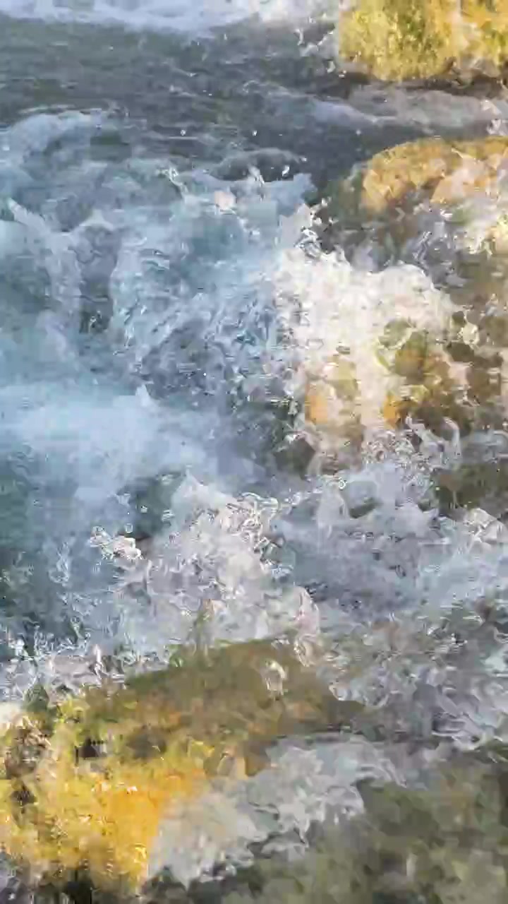 Acqua limpida che scorre su rocce muschiose in un ruscello
