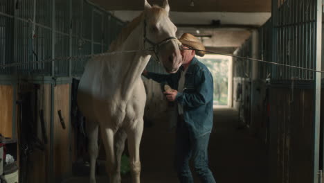 man grooming a white horse in a stable