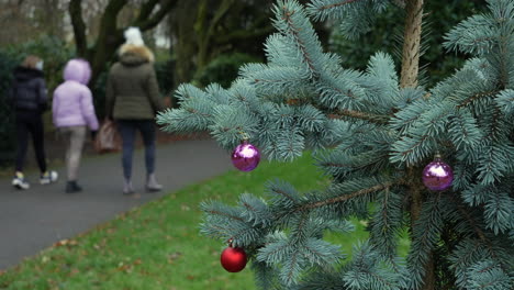 A-family-walking-in-the-park-at-in-winter