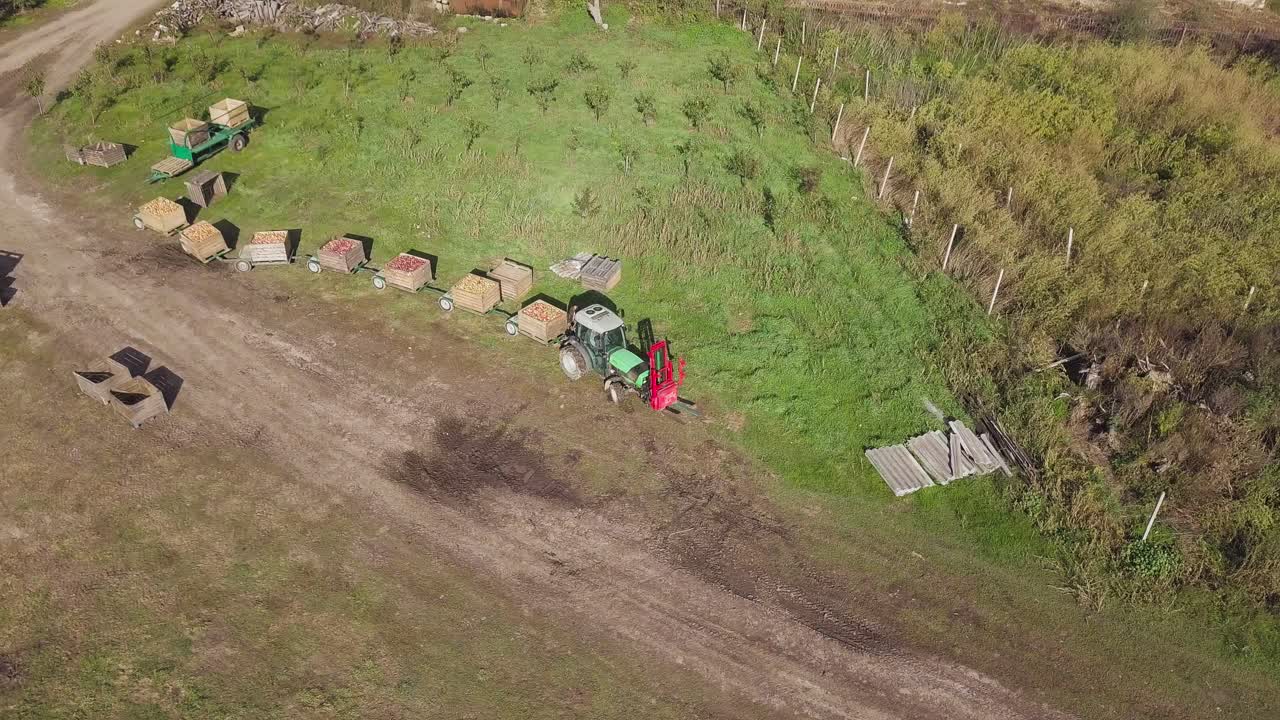 Apple farmland with tractor. Tractor pulling containers full of apples at apple factory