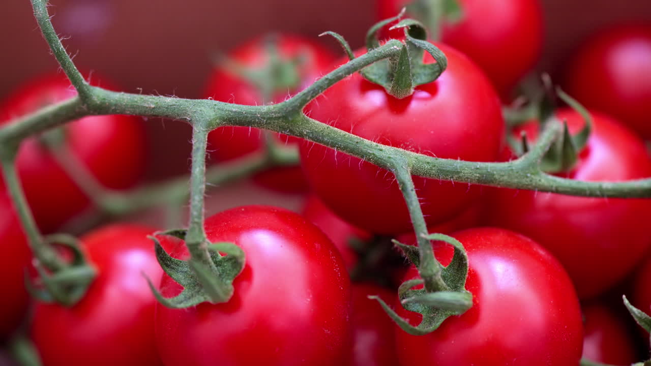 Red tomatoes on green branch macro close up