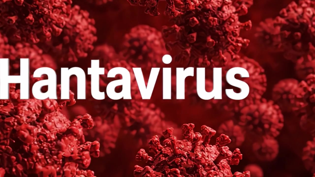 Exploring the Intricate Structure of Hantavirus: An Insight into a Viral Agent That Affects Human Health and Its Mechanisms of Transmission and Infection.