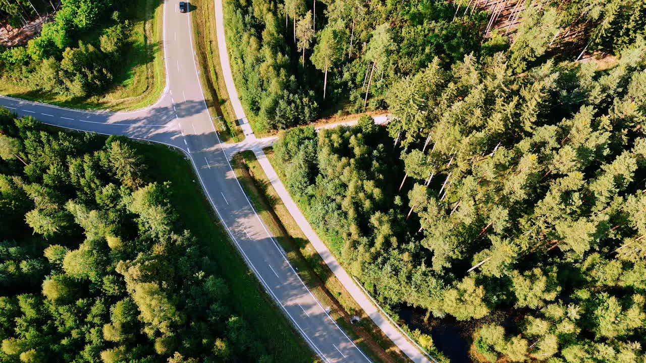 Een weg slingert zachtjes door een bos vol groene bomen. Naast de weg loopt een beekje
