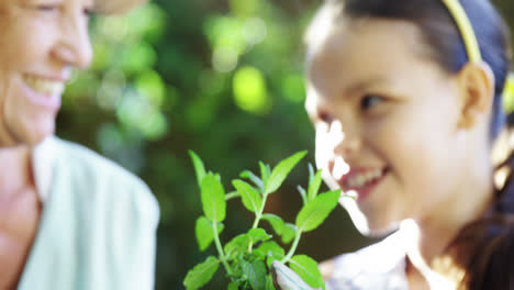 Grandmother-and-grand-daughter-holding-plant