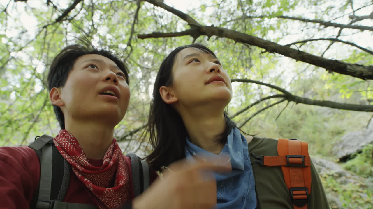 Asian Lesbian Couple Enjoying Hike in Forest