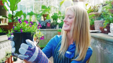 beautiful woman carrying flower plant