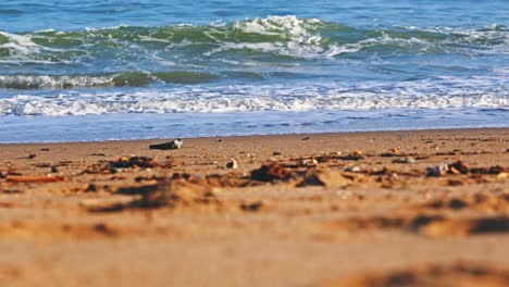 daytime at the beach in slow motion